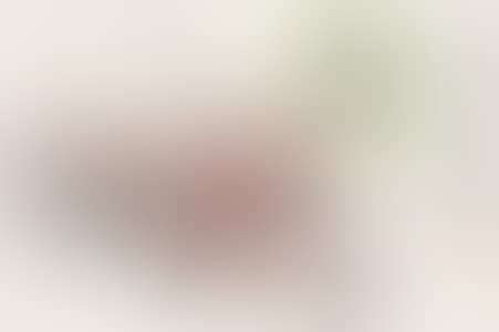AUSPICIOUS (preview)