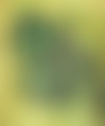 Paisley Composition in Green (preview)
