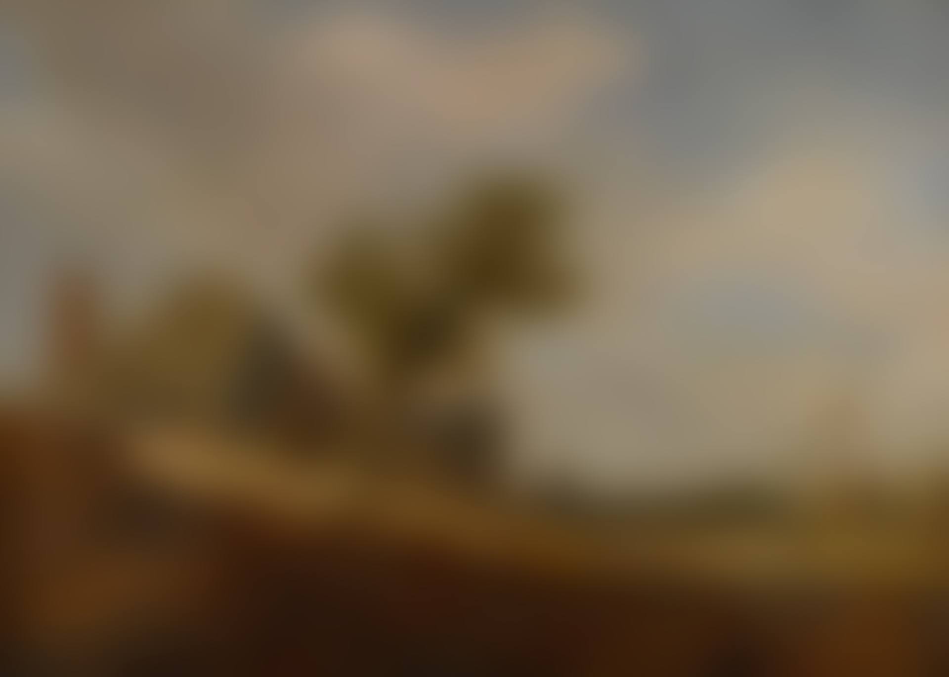 DUNE LANDSCAPE WITH A HOUSE AND A FIGURE BY A WELL (preview)