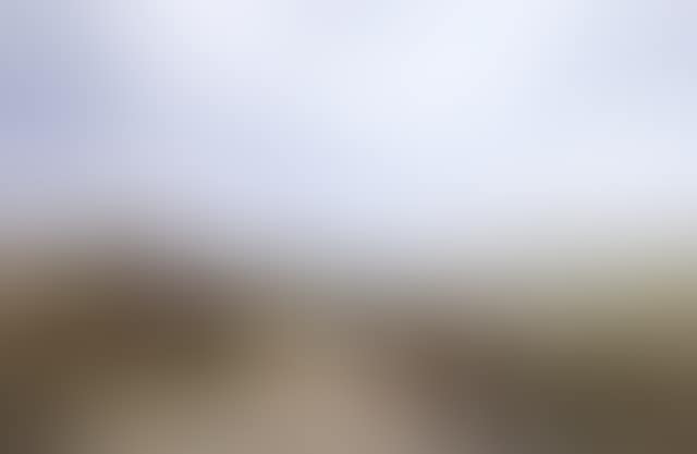 Cattle resting on a hillside (preview)