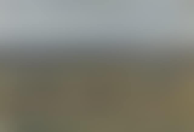 Exmoor Ponies (preview)