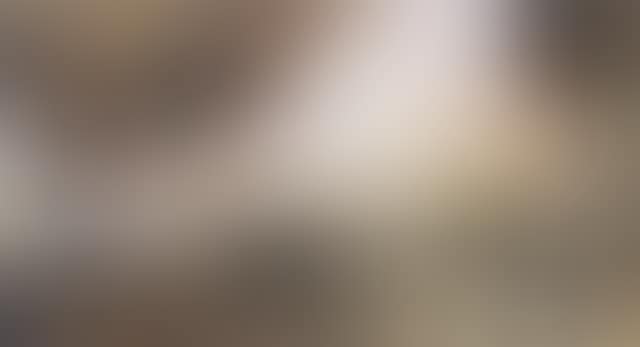 A young Iberian (preview)