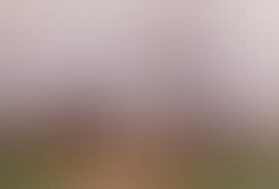 Landscape (preview)