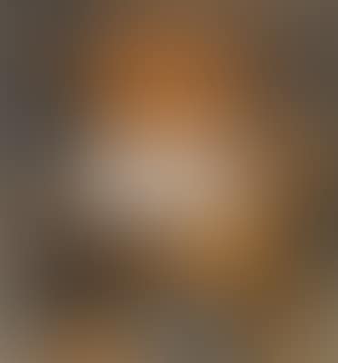 El bufon (preview)