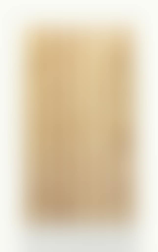 Untitled (Front Desk Apparatus #4) (preview)