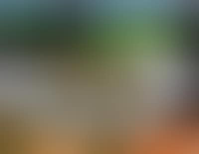Still Life at Velate (preview)