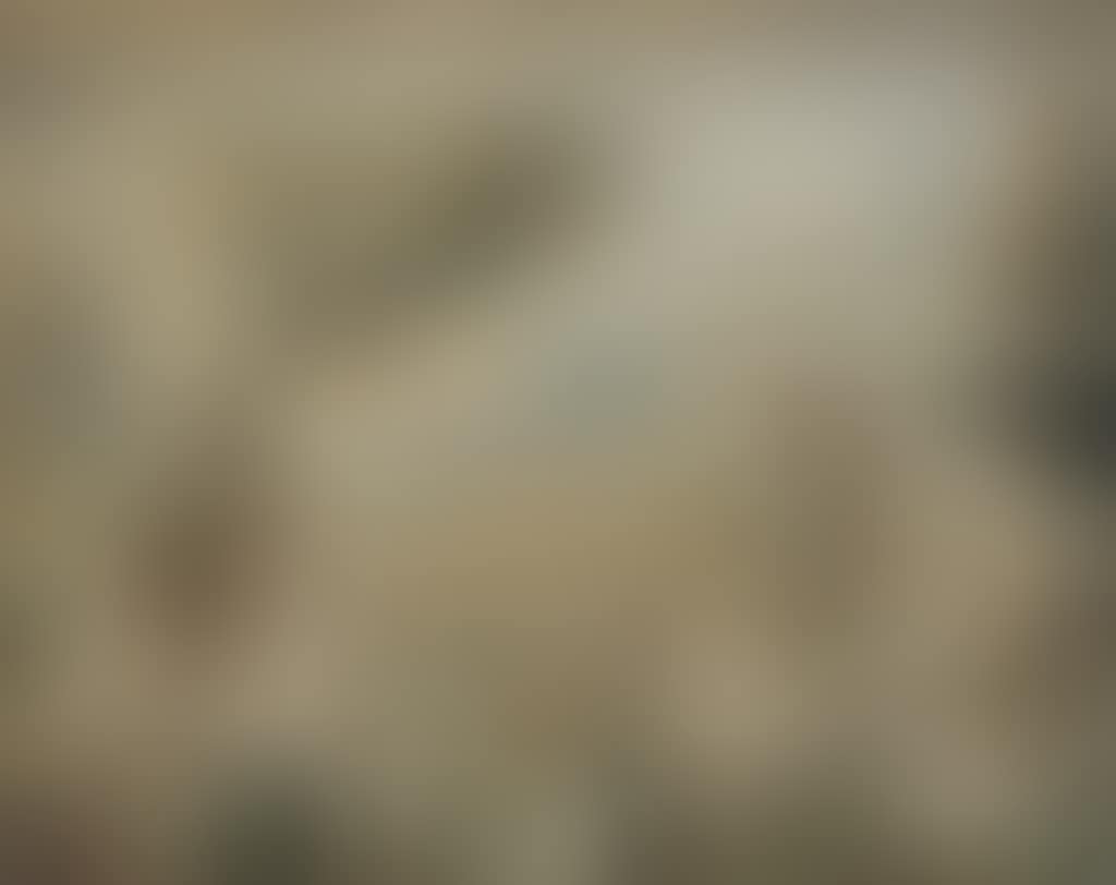 The Valley of Time (preview)