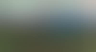 View of the Swiss Alps (preview)
