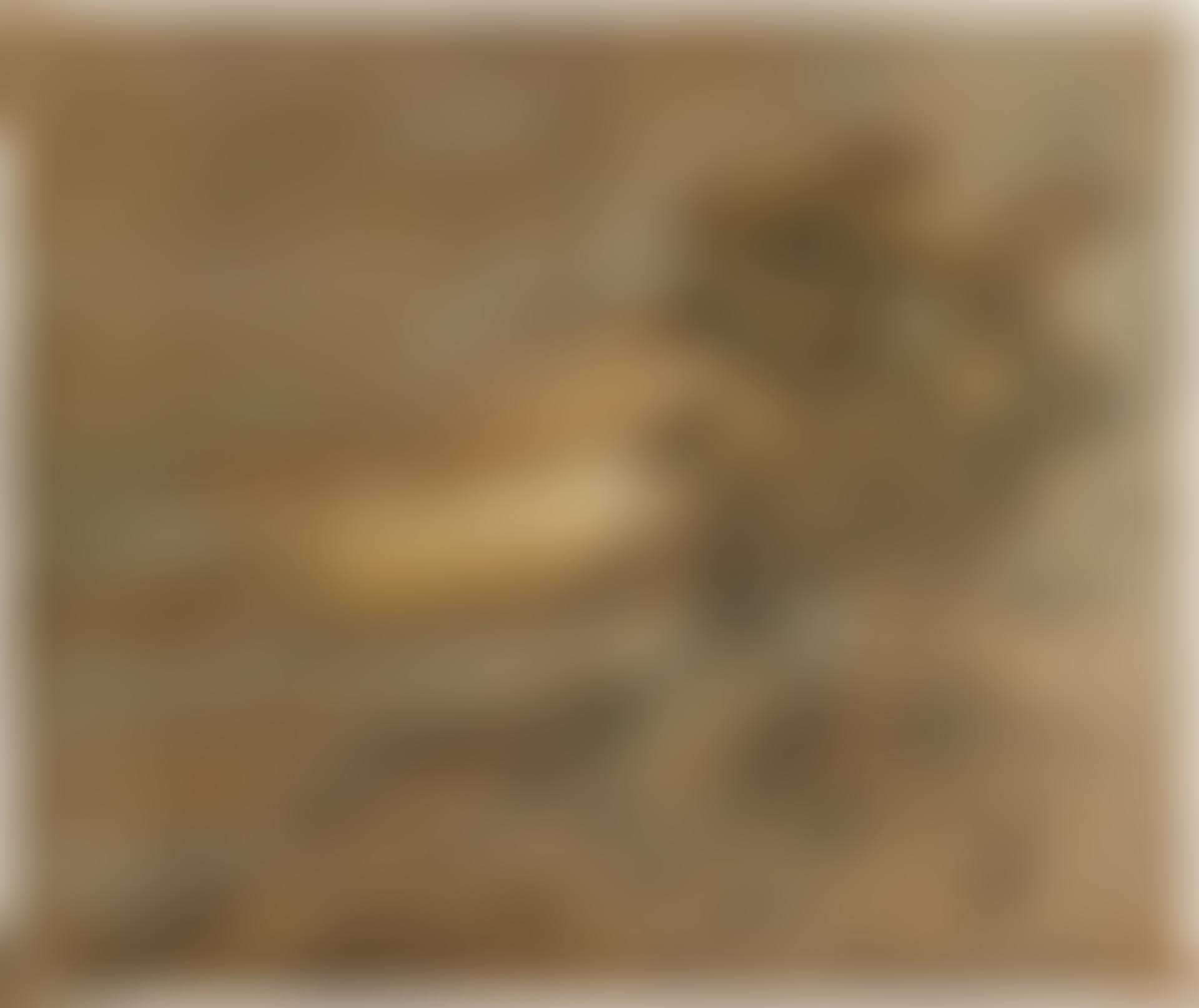 AMANECER (preview)