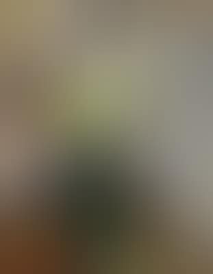 Still life with flower vase, fruits and candle (preview)