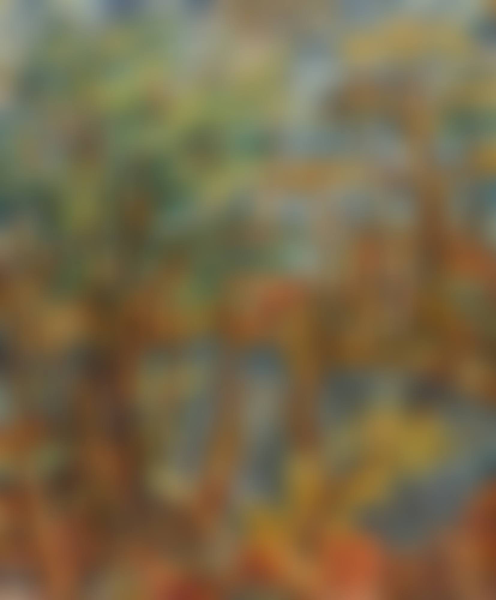 PAISAJE (preview)