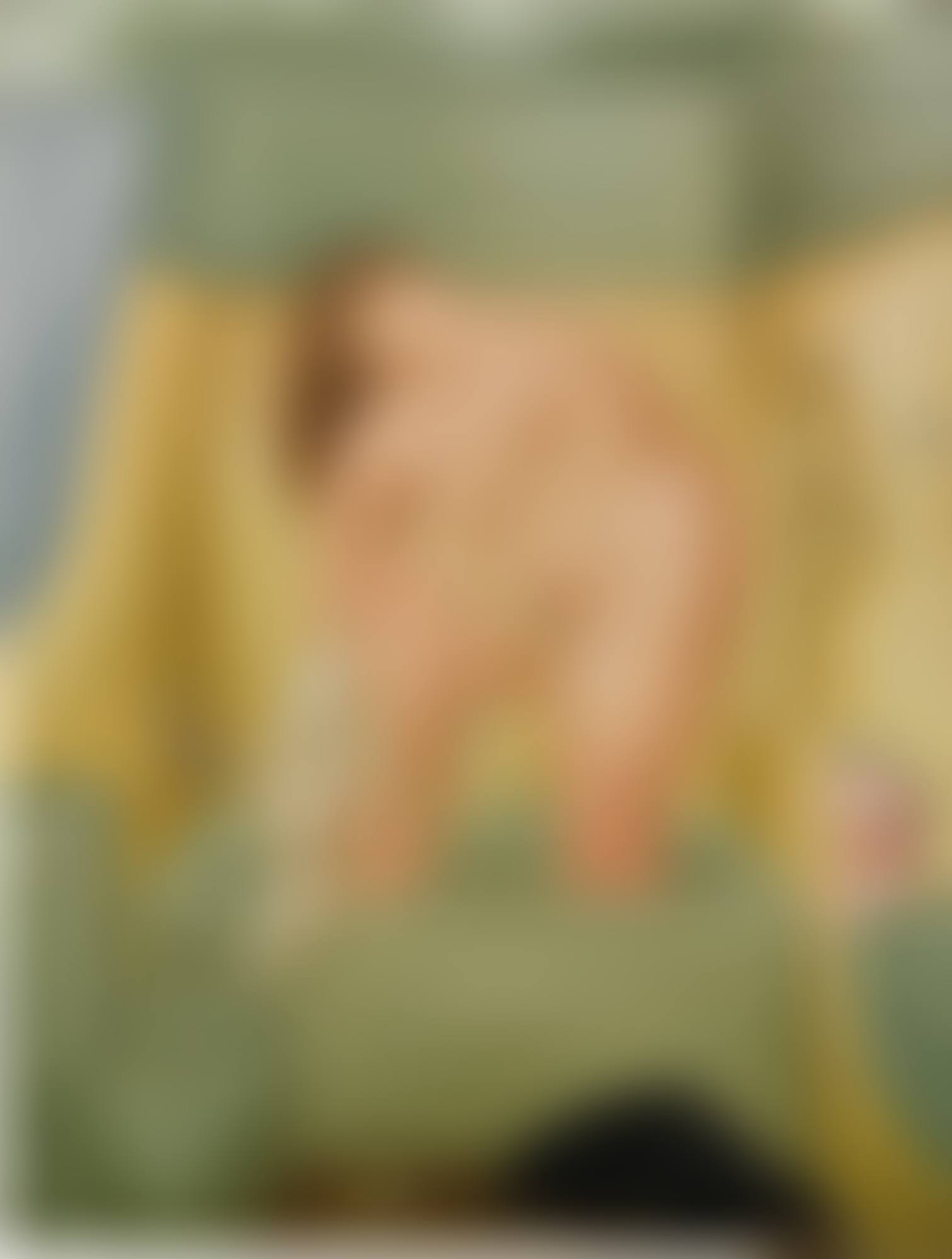 HOMAGE TO BONNARD (preview)
