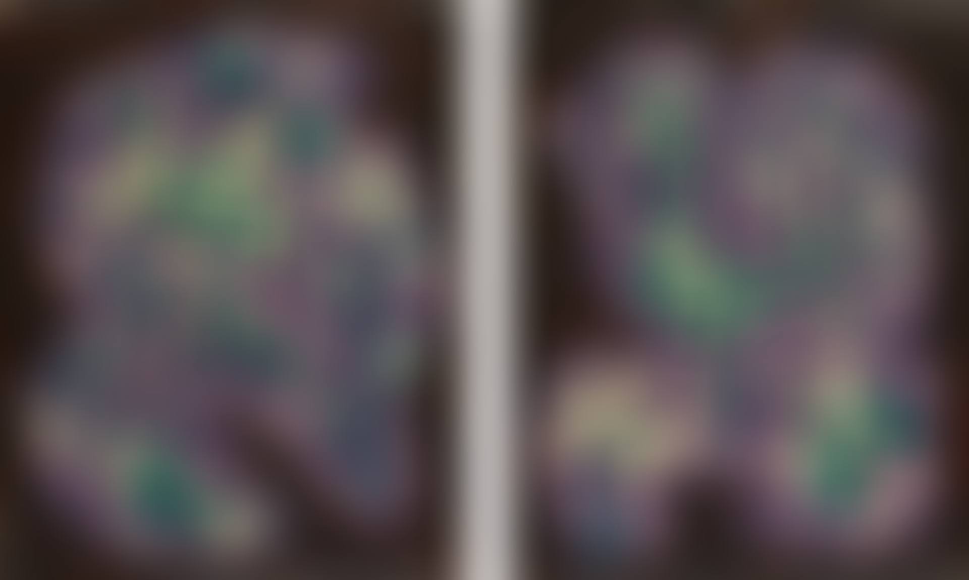 UNTITLED (A PAIR OF WORKS)  (preview)
