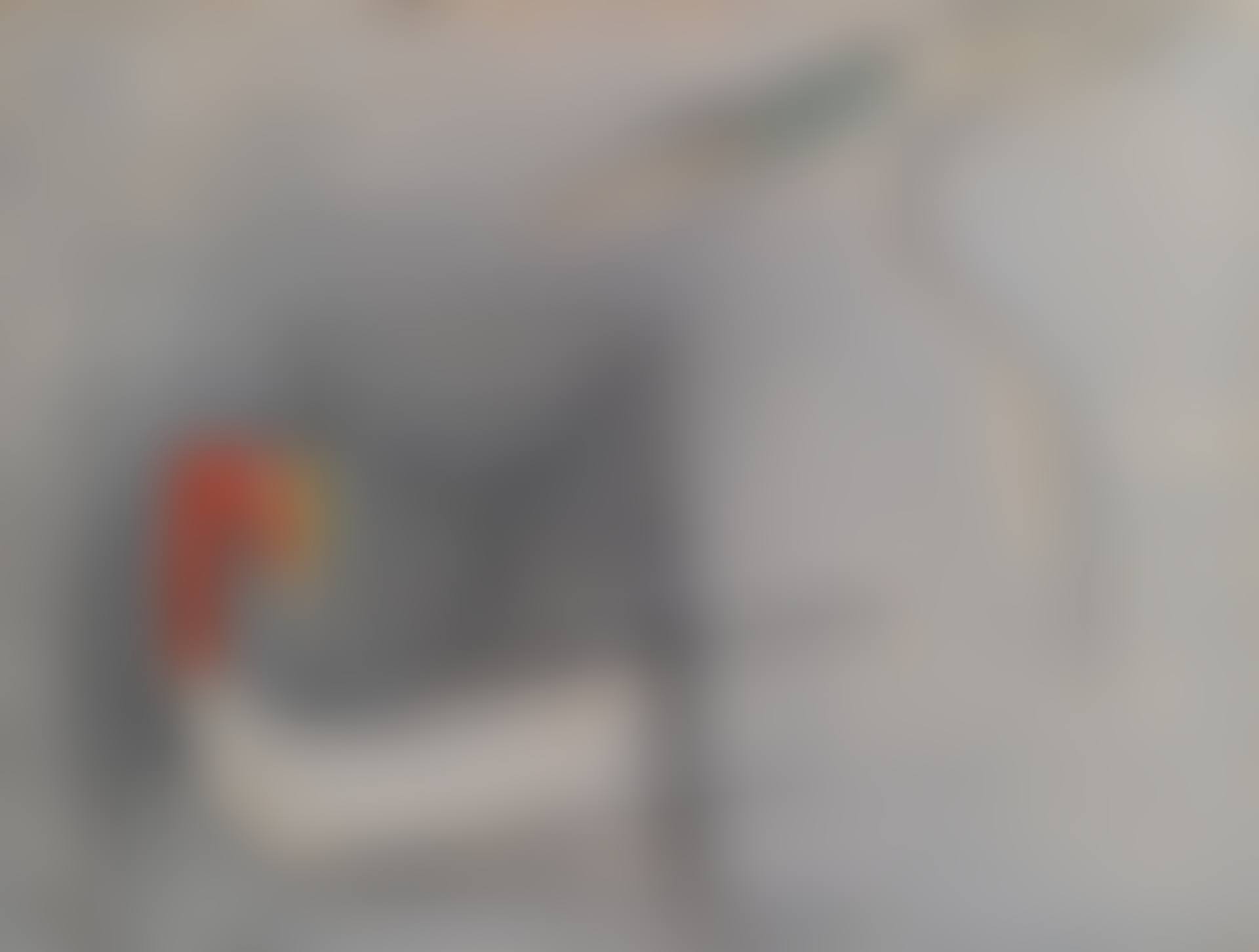 PERSONNAGE ET OISEAUX (preview)