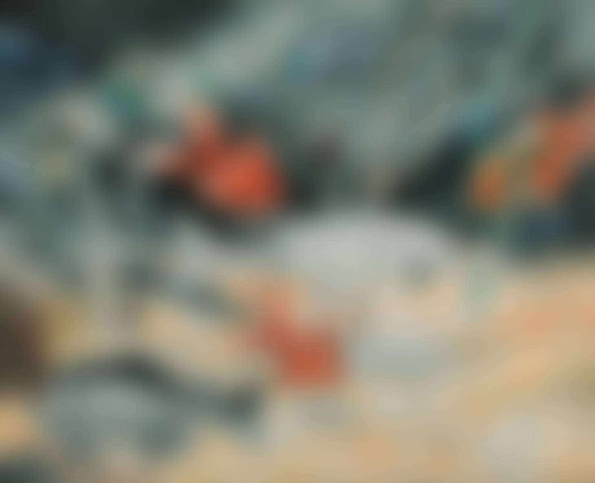 THE GOLDFISH (preview)