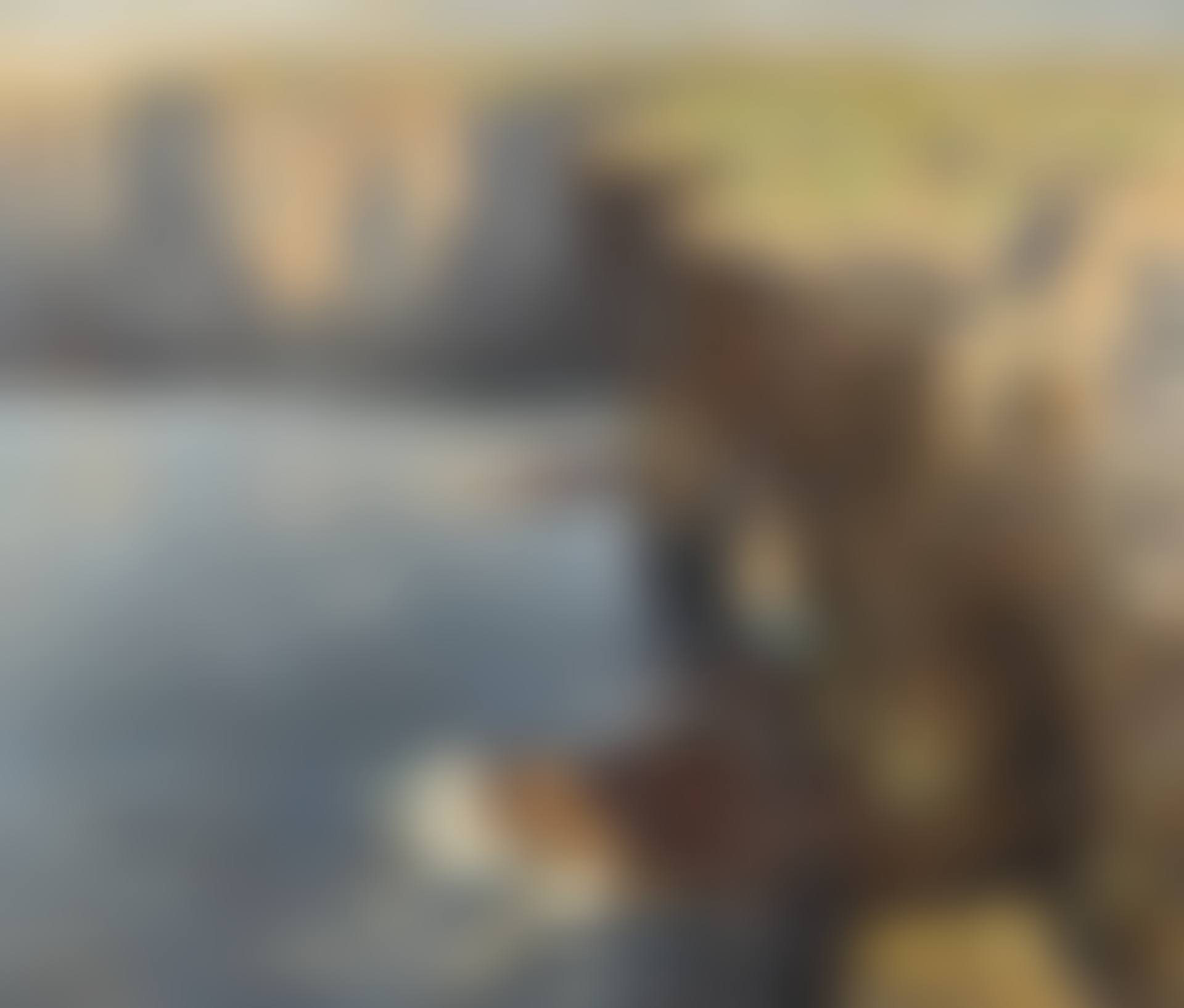 ALONG THE CLIFFS, ORKNEY (preview)