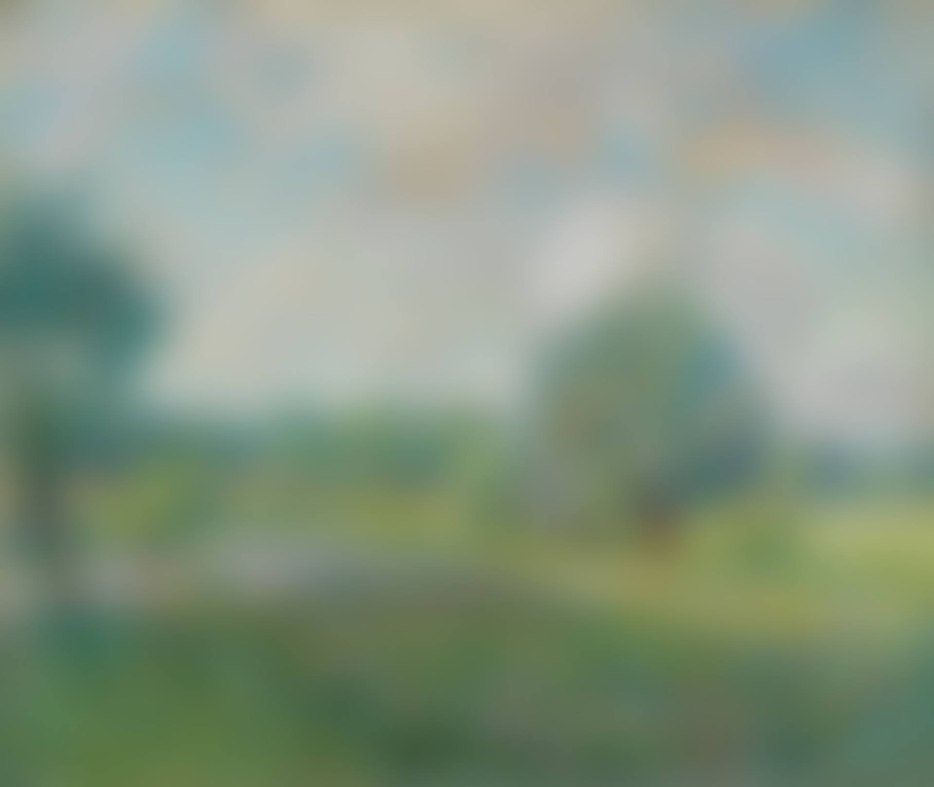 LE SAULE (preview)