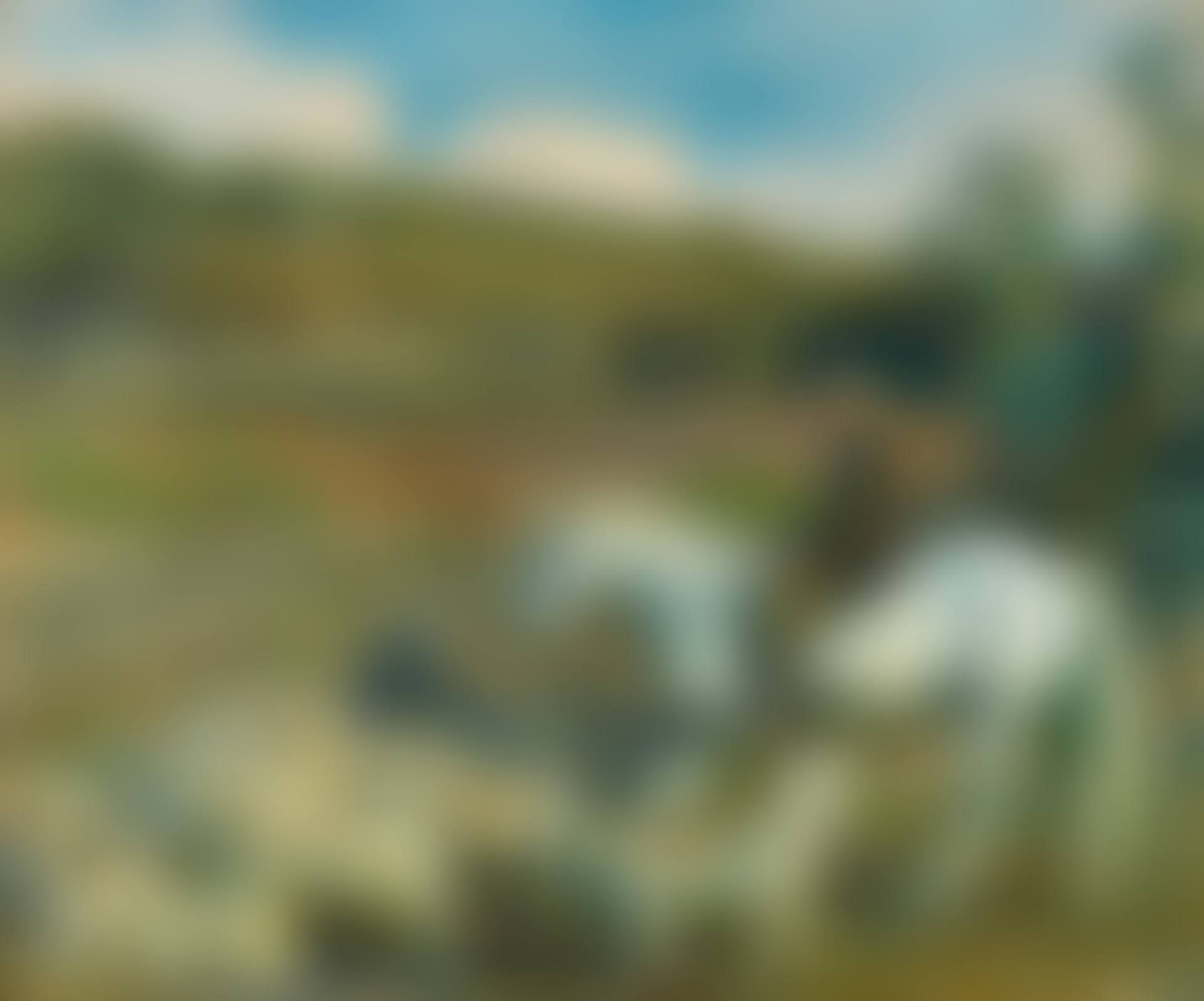 AN EXMOOR FARMER (preview)