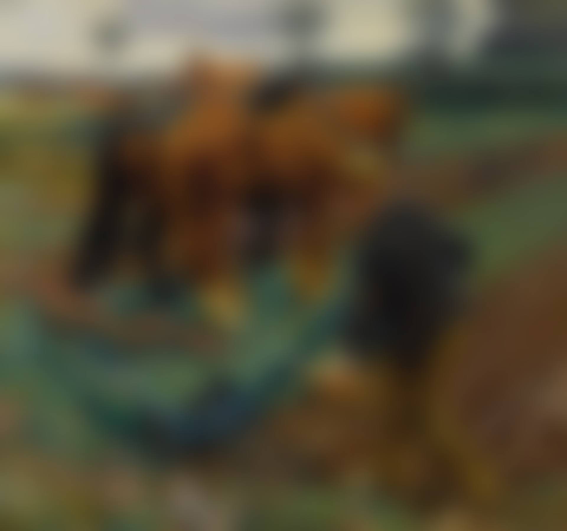 THE PLOUGH IN EARLY SPRING (preview)