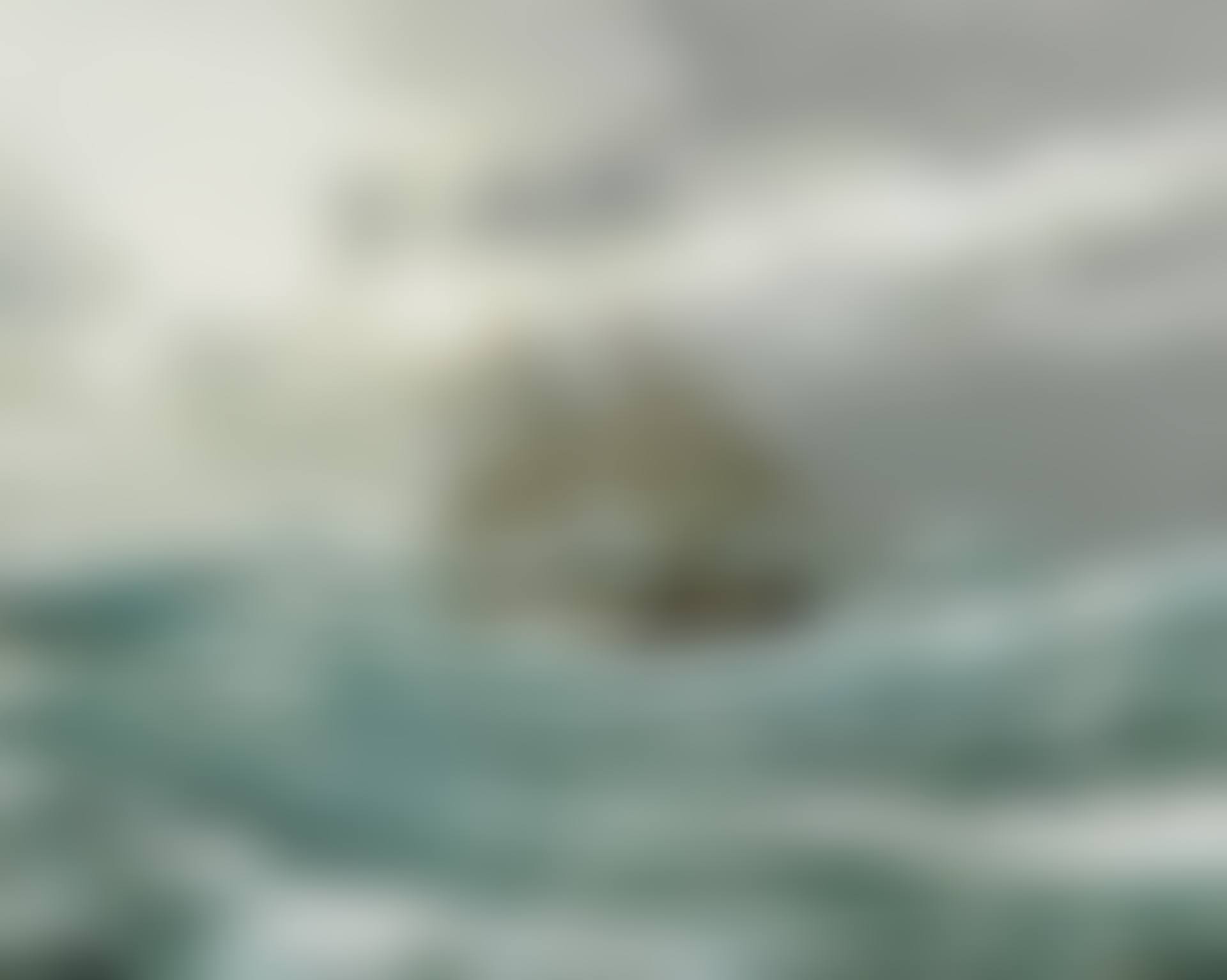 THE CAPE HORNER, THE CUTTY SARK (preview)
