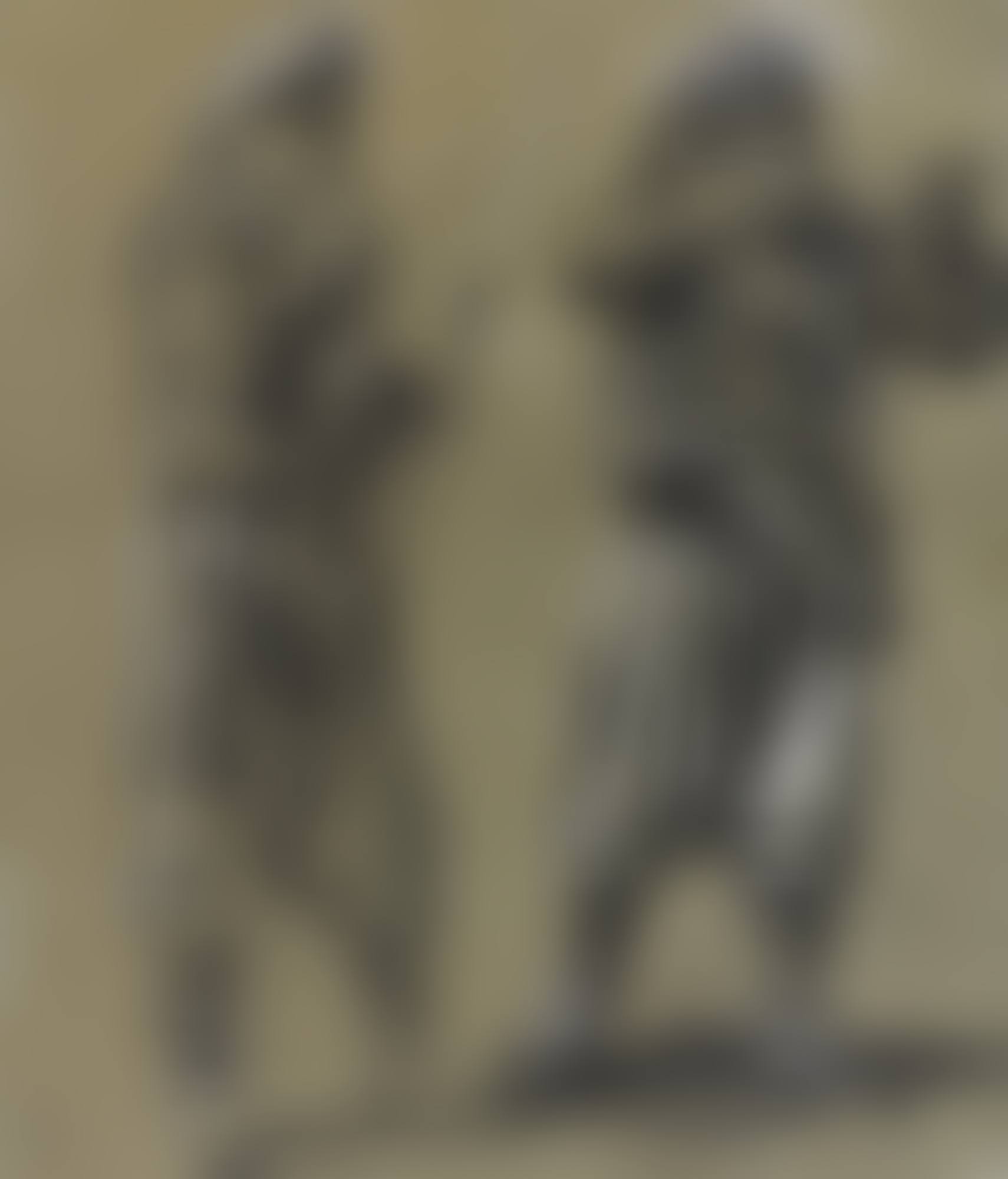 OUR ZOUAVES (preview)