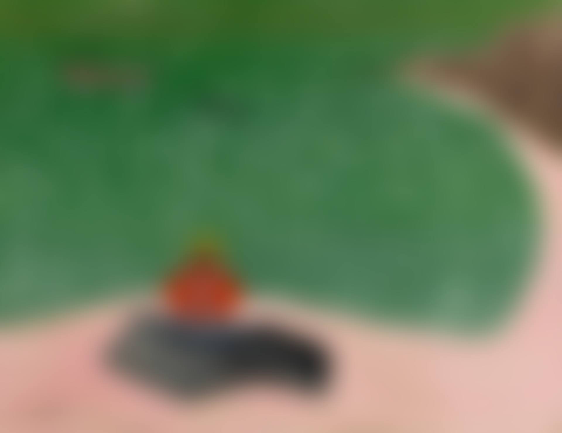 RAYMOND'S BEACH (preview)