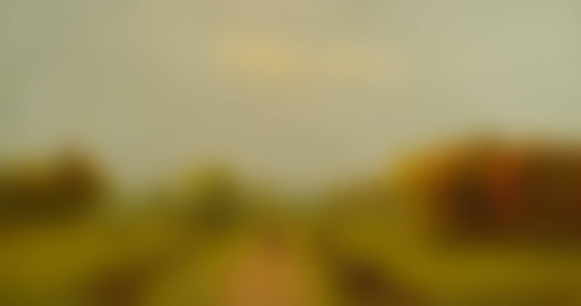 CARRIAGE ON A COUNTRY ROAD (preview)