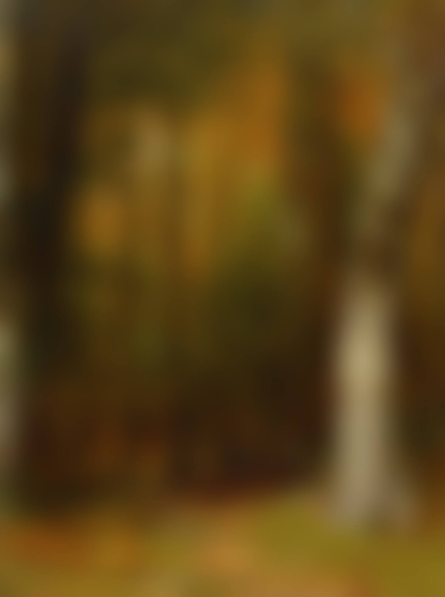 THE PINE CONE GATHERERS (preview)