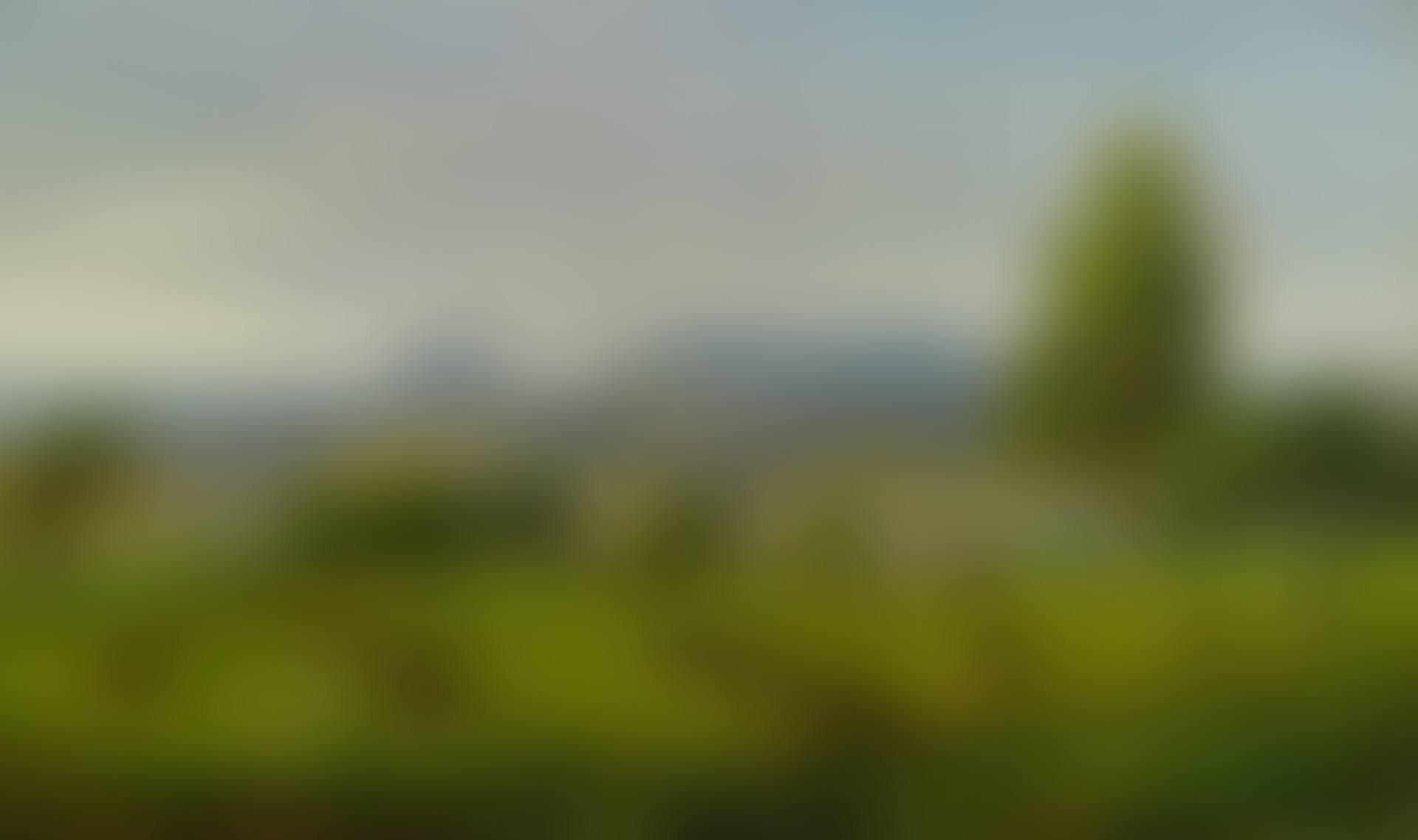 MOUNTS ADAM AND EVE—HAYMAKING (preview)