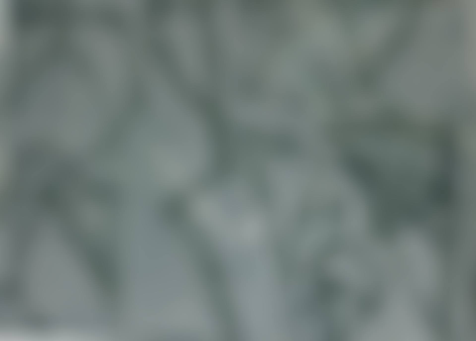 GREEN PAINTING (preview)