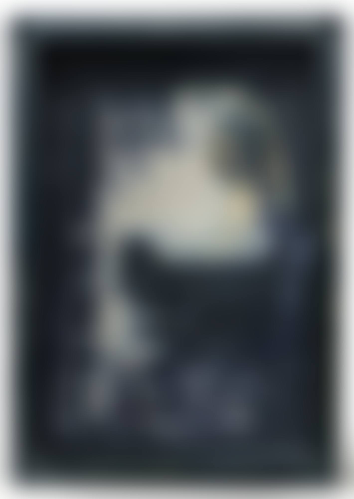 UNTITLED (HOTEL BOX WITH VERMEER DETAIL) (preview)
