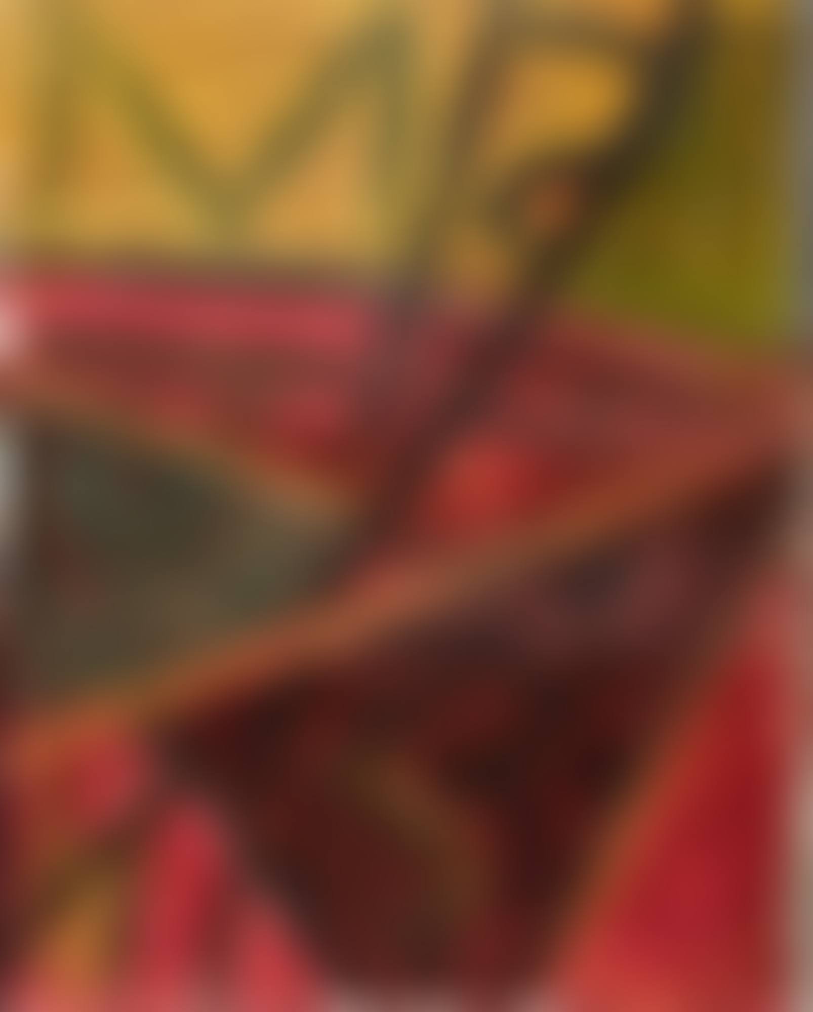 UNTITLED (preview)