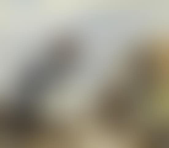 Kneeling Indian (preview)