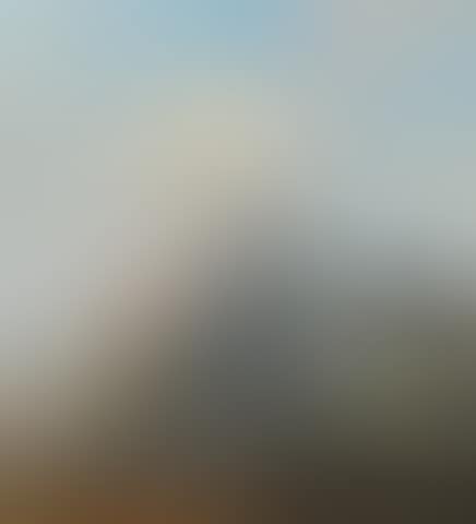 Wagon Train (preview)