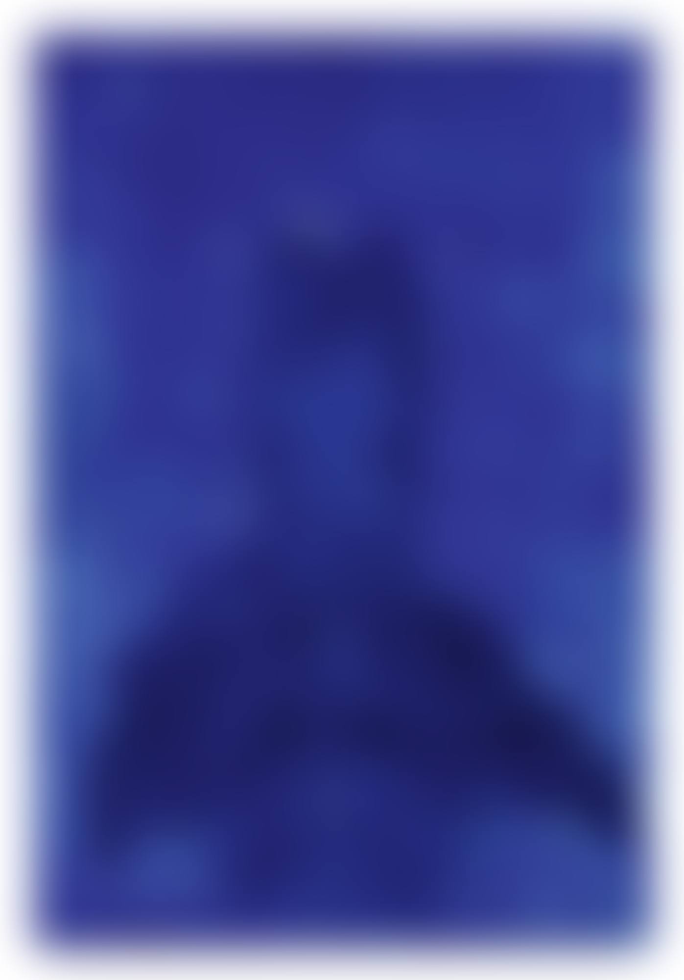 UNTITLED ANTHROPOMETRY (ANT 31) (preview)