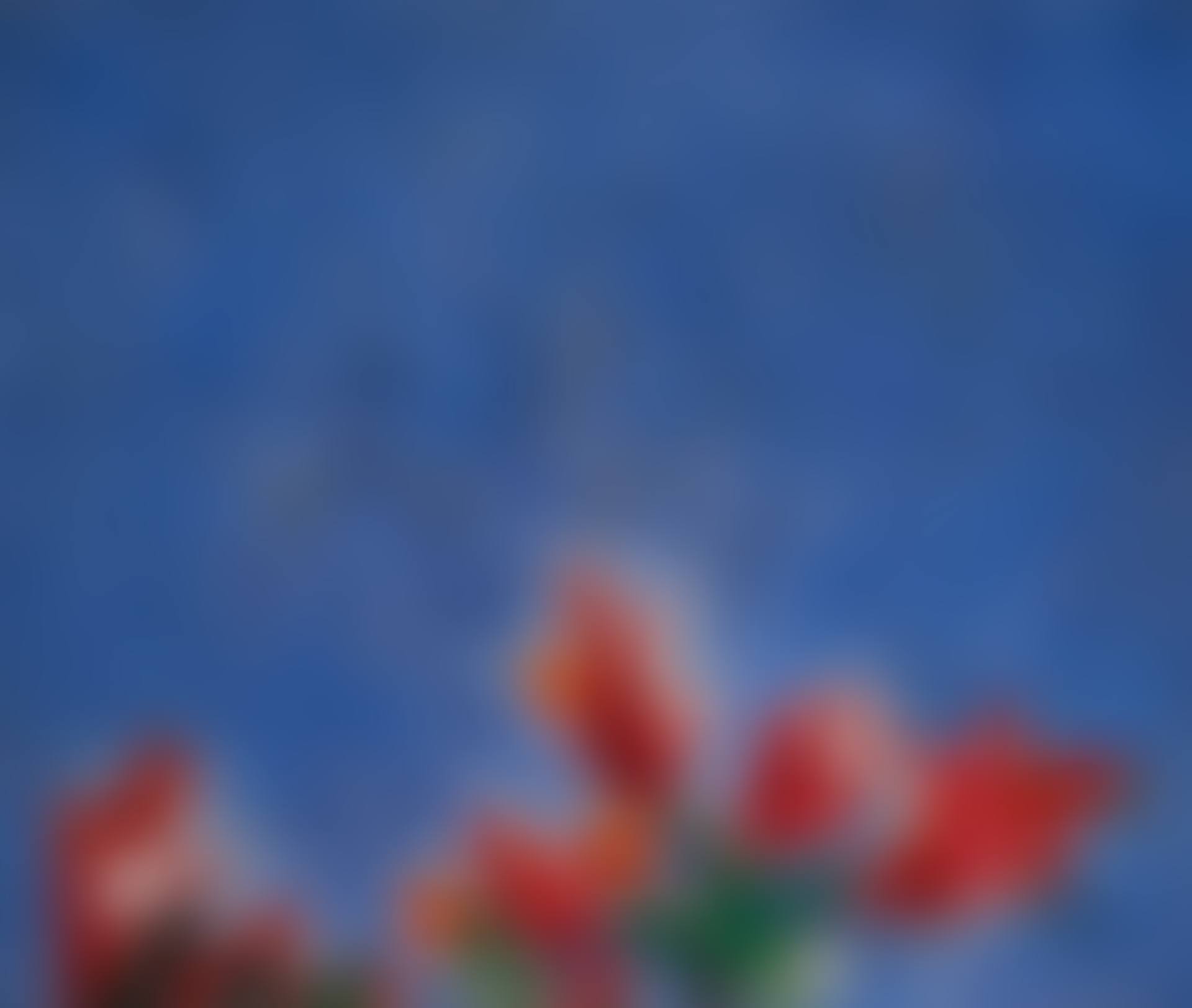 BLUE AND RED (preview)