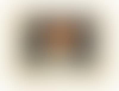 No Title (preview)
