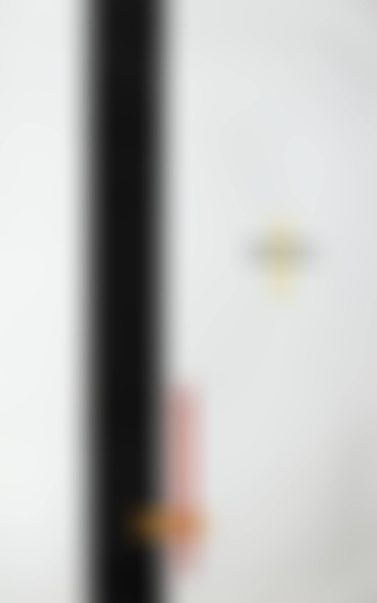 EM 1 TELEPHONBILD (EM 1 TELEPHONE PICTURE) (preview)