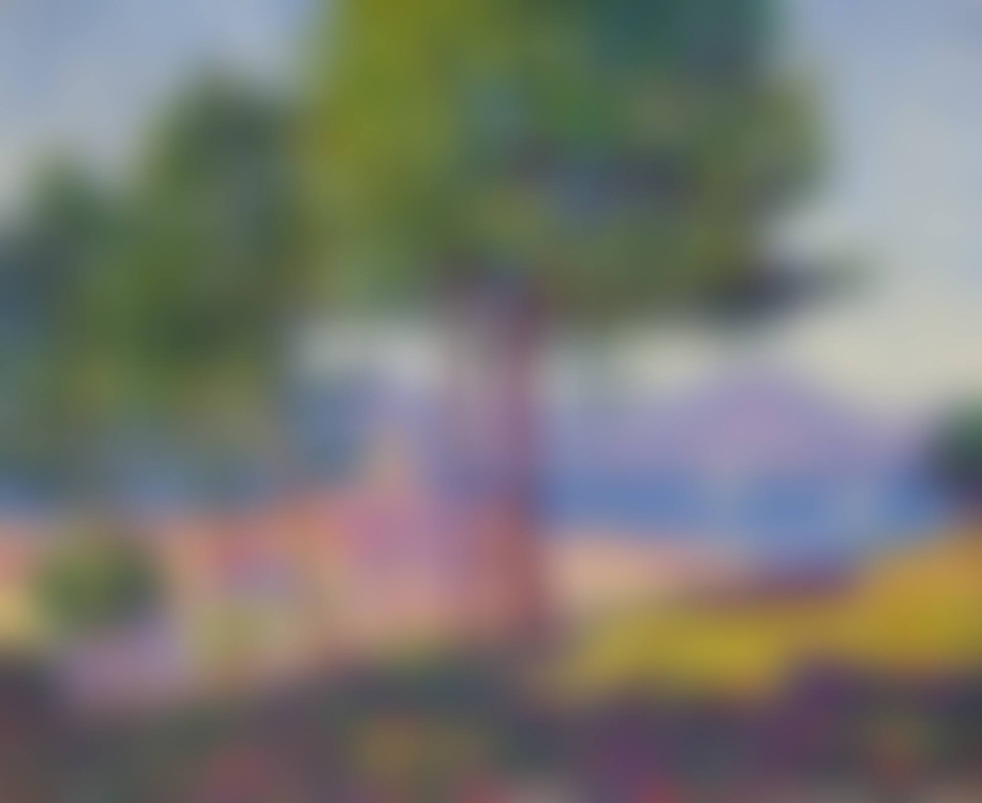 SAINT-TROPEZ, EFFET DE SOLEIL (preview)
