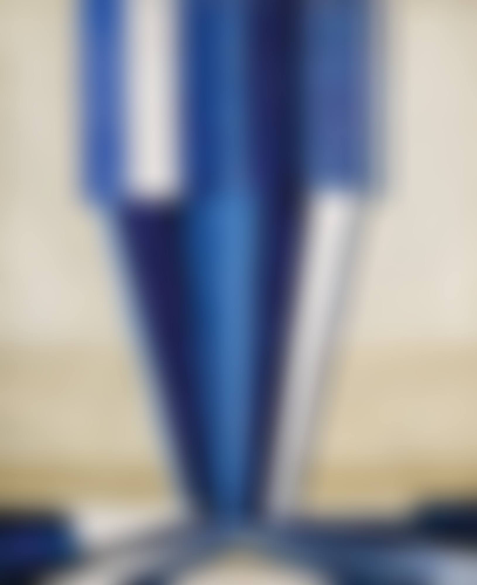 LA FORME DU BLEU (preview)