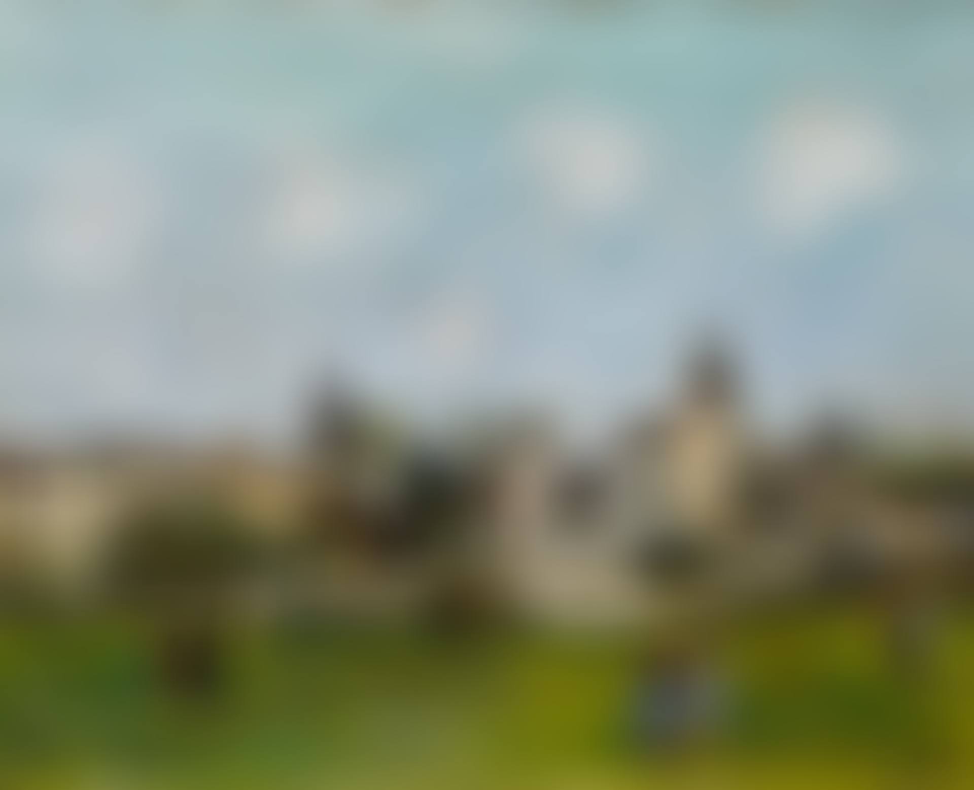 CHÂTEAU DE LA FONTAINE, ANSE (RHÔNE) (preview)
