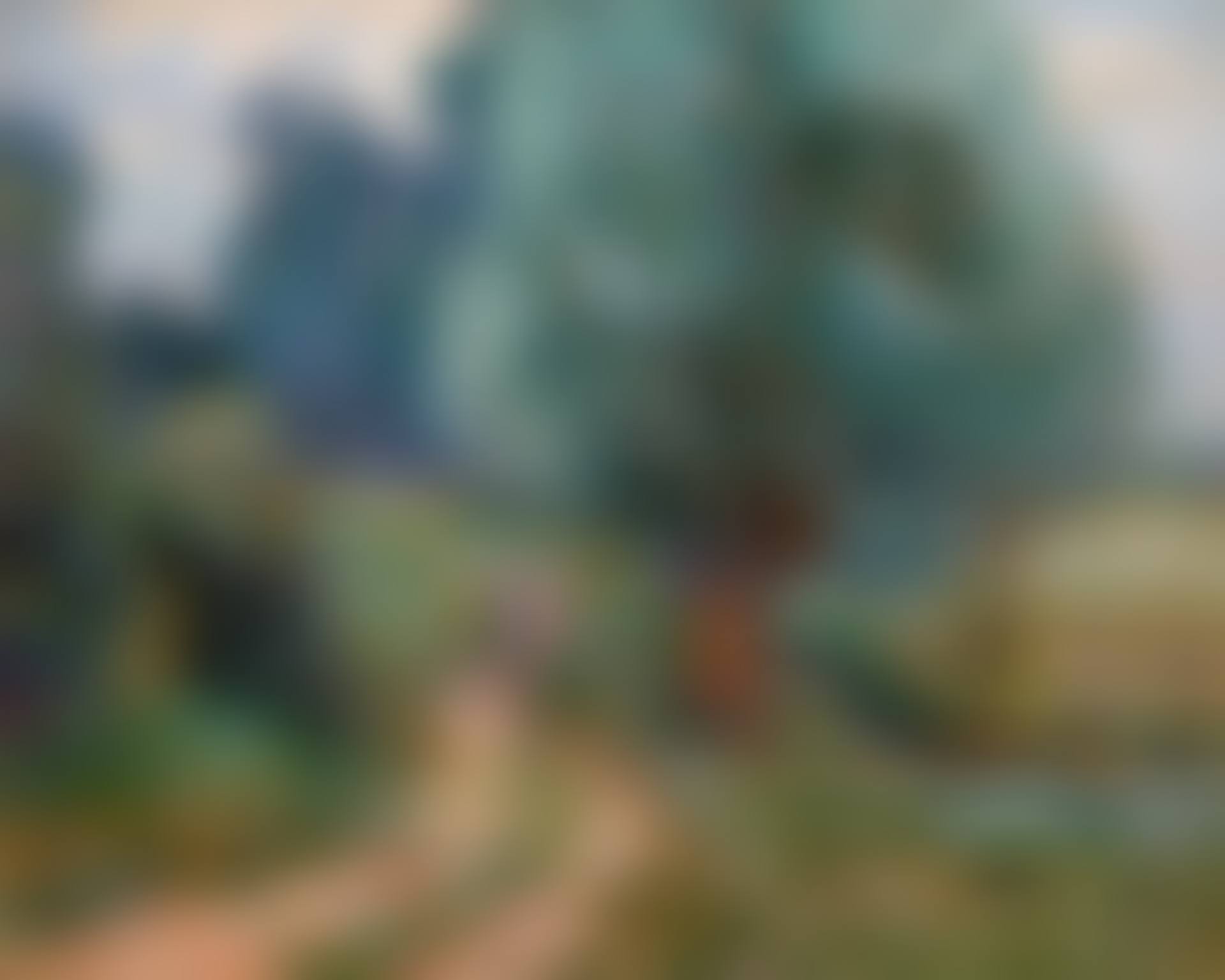 PROMENEUSES SUR LES BORDS DE L'ORGE (preview)