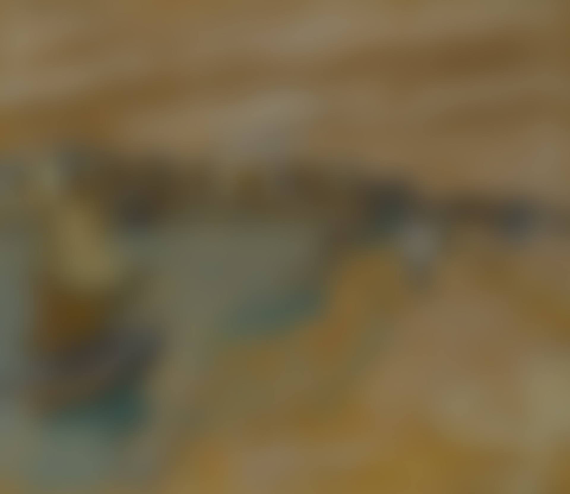 LA BERGE DU POULIGUEN (preview)