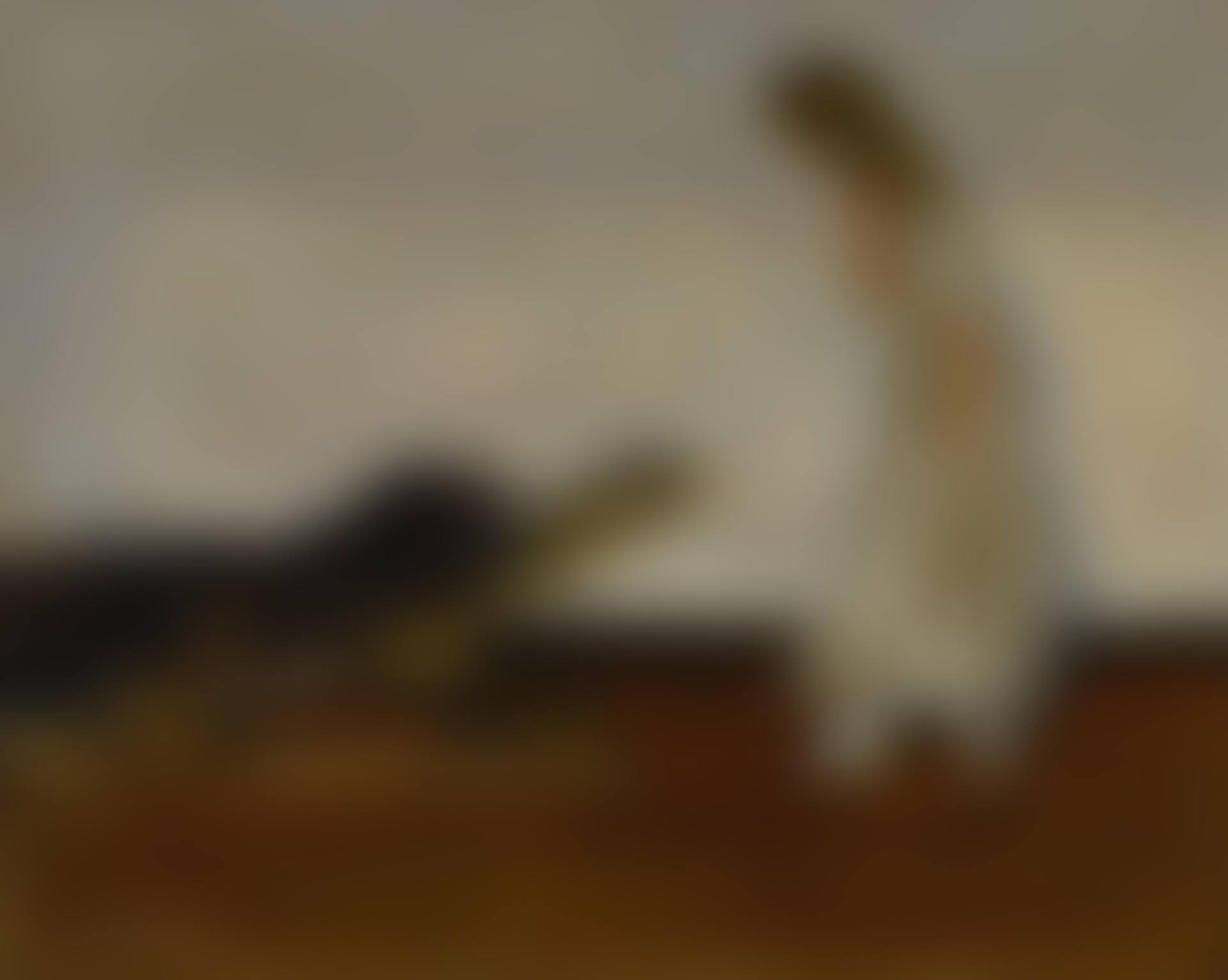 MARTHE ET LE CHIEN BLACK (preview)