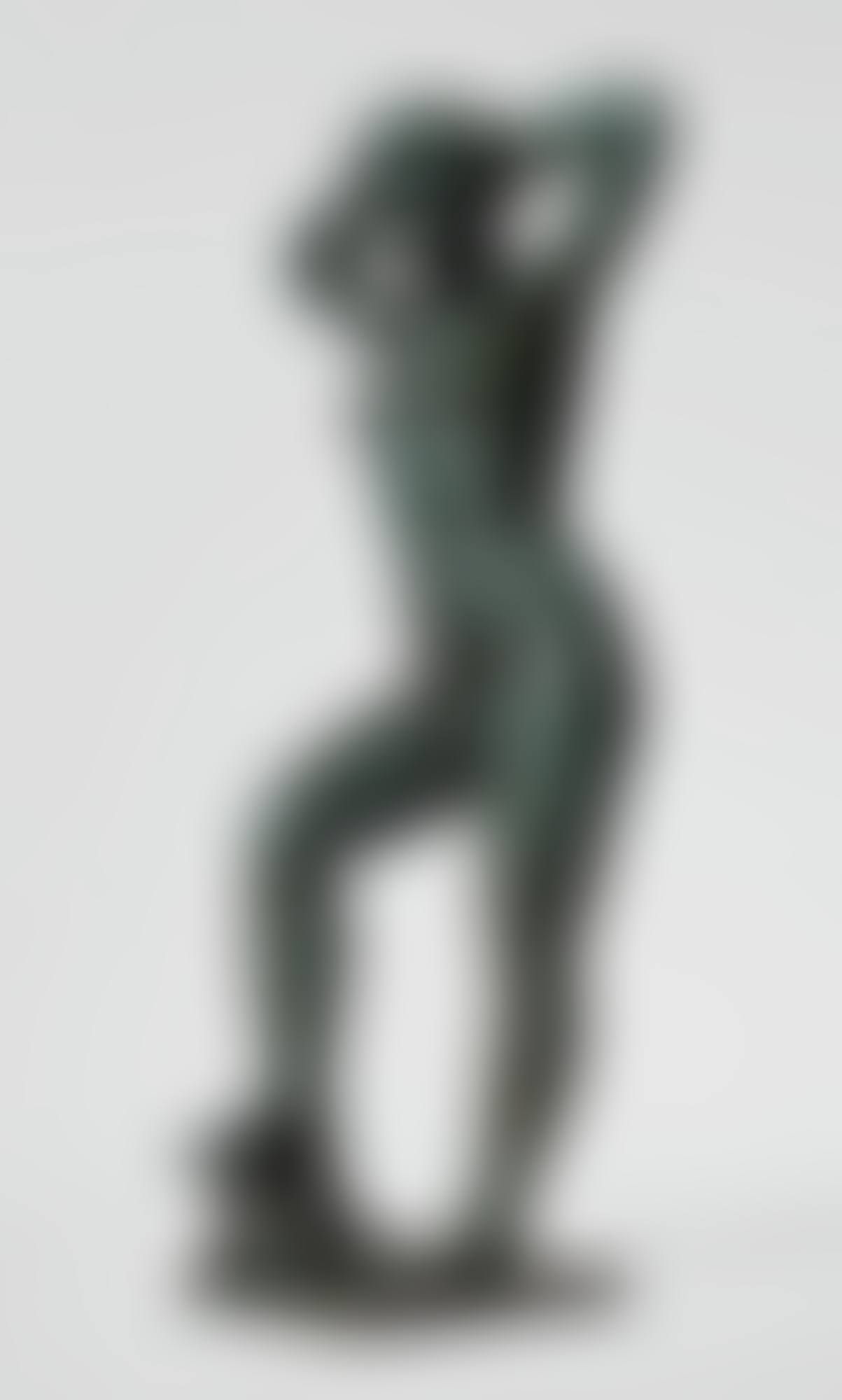 BAIGNEUSE SE COIFFANT (preview)