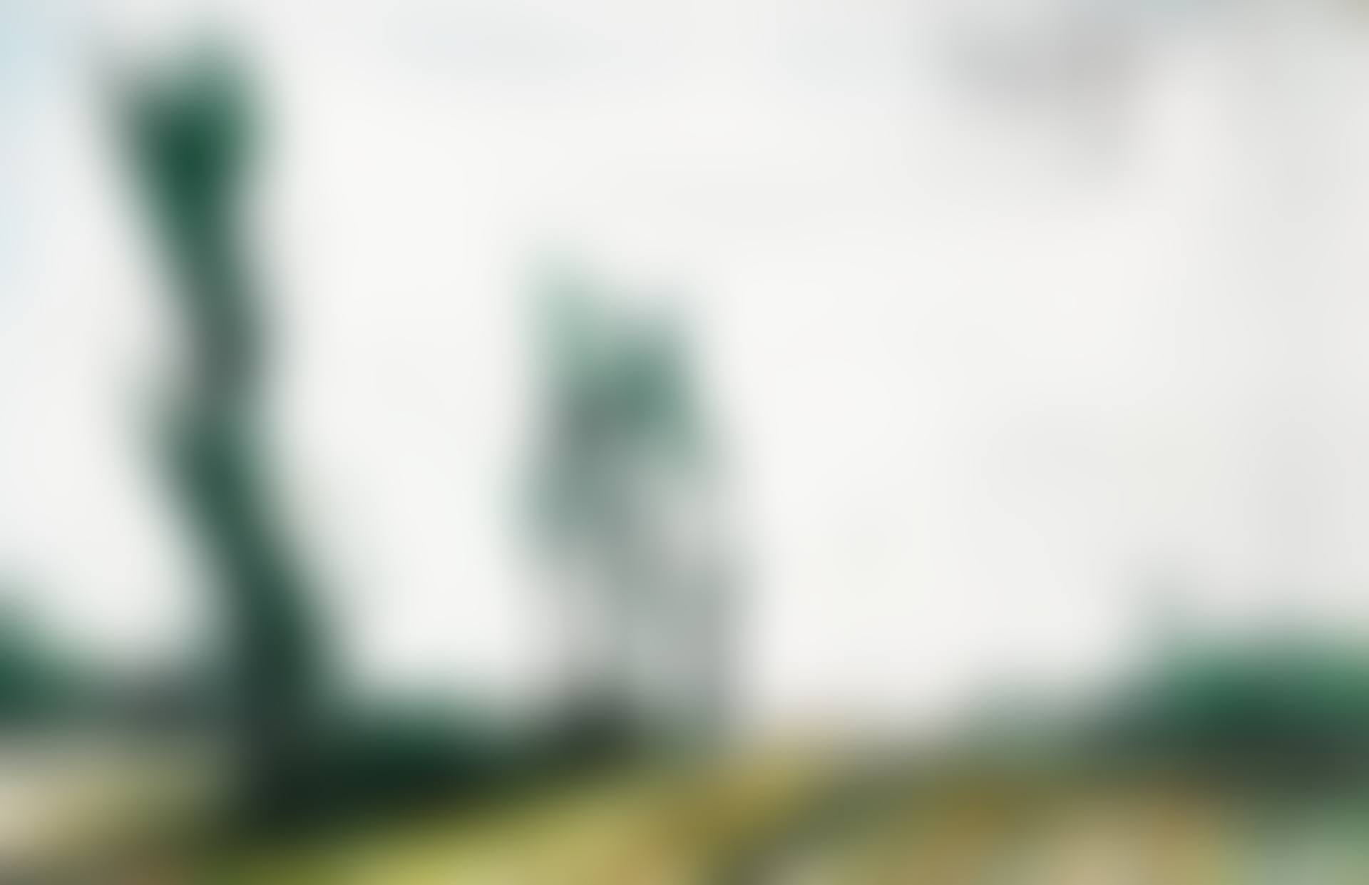 LES PEUPLIERS (preview)