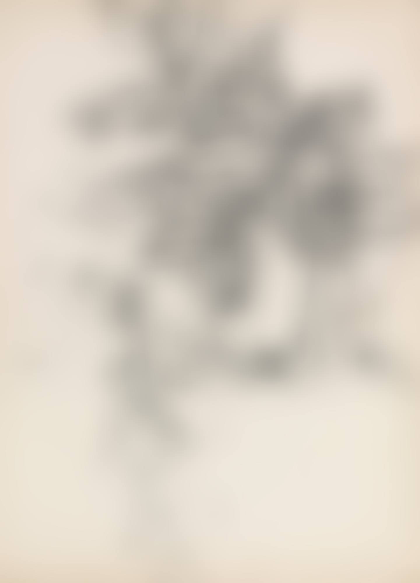 NATURE MORTE AU LIERRE (preview)