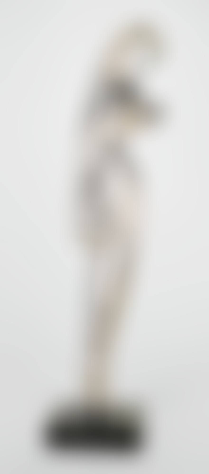SILVER TORSO (preview)