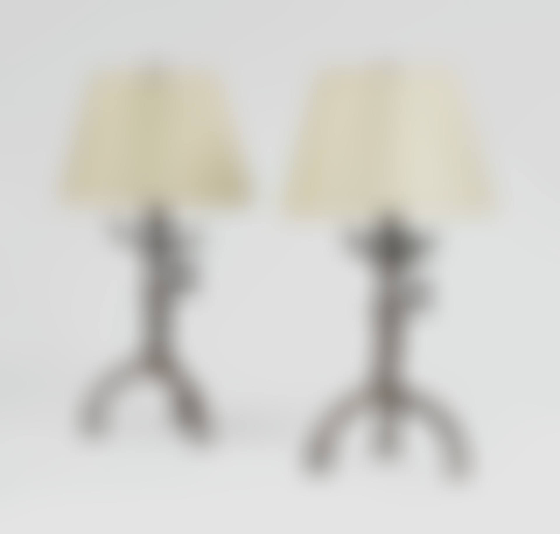 LAMPE AUX FEUILLES ET OISEAUX (A PAIR) (preview)