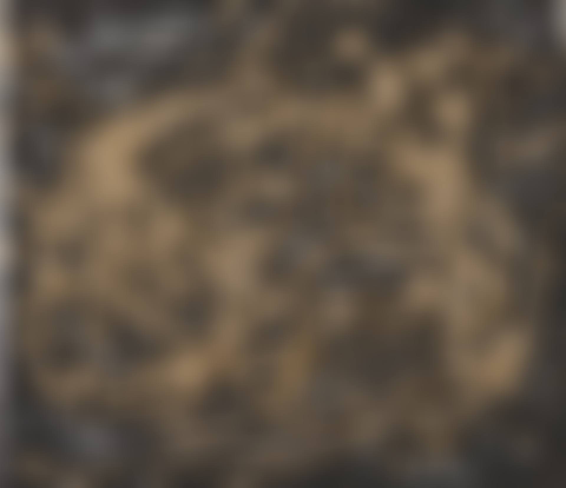 MÉTAMORPHOSE SOUTERRAINE (preview)